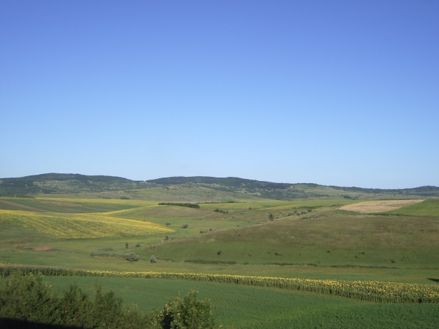 Paysage moldave dans la plaine méridionale